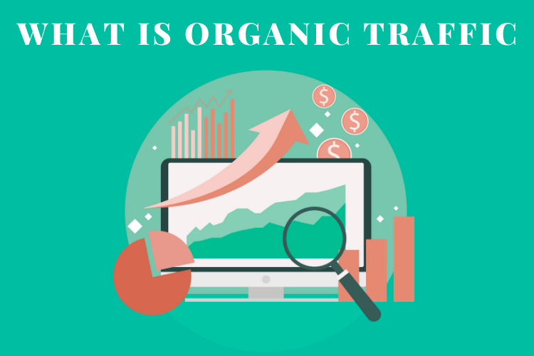Organic Traffic
