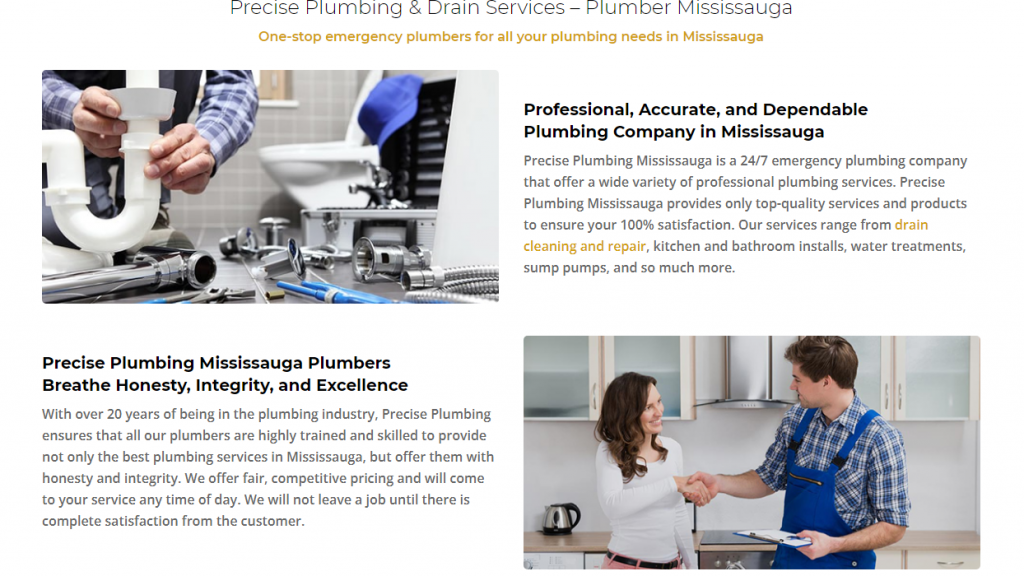 Plumbing website example