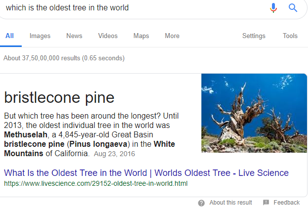 Question Keyword In Your Headings