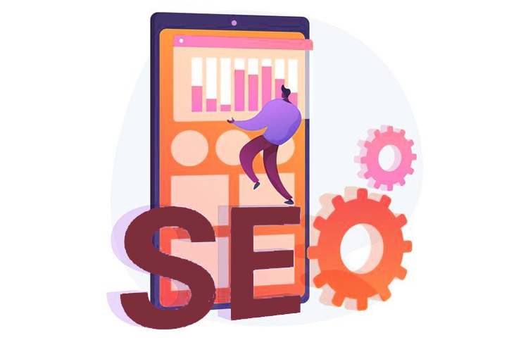 seo expert