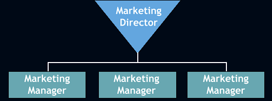 hierarchical chart of the position of marketing director above marketing managers