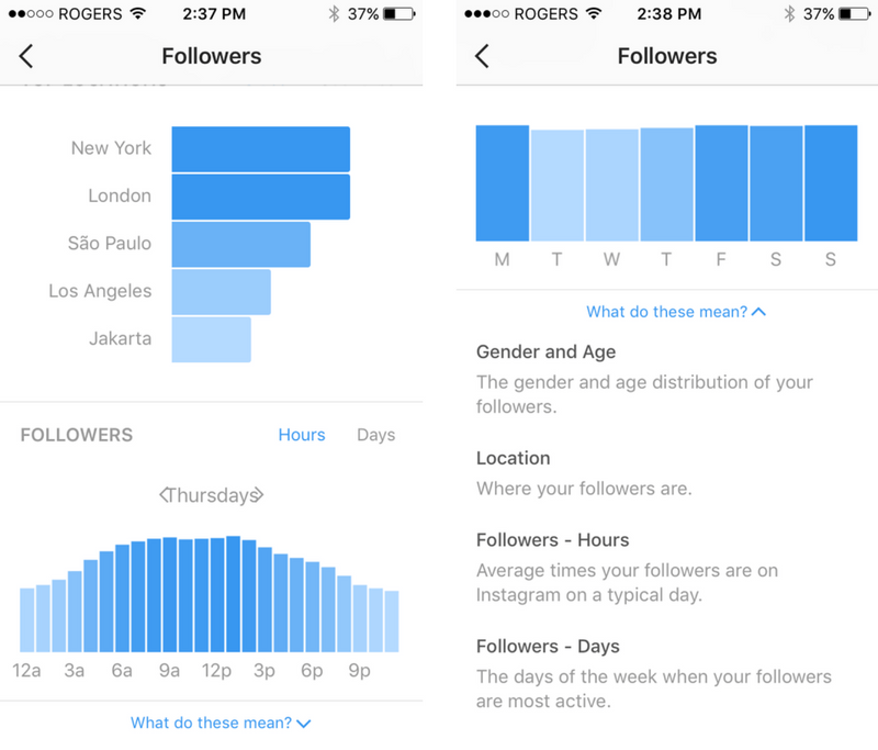 Instagram Insights