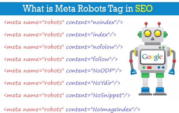 What-is-Meta-Robots-Tag