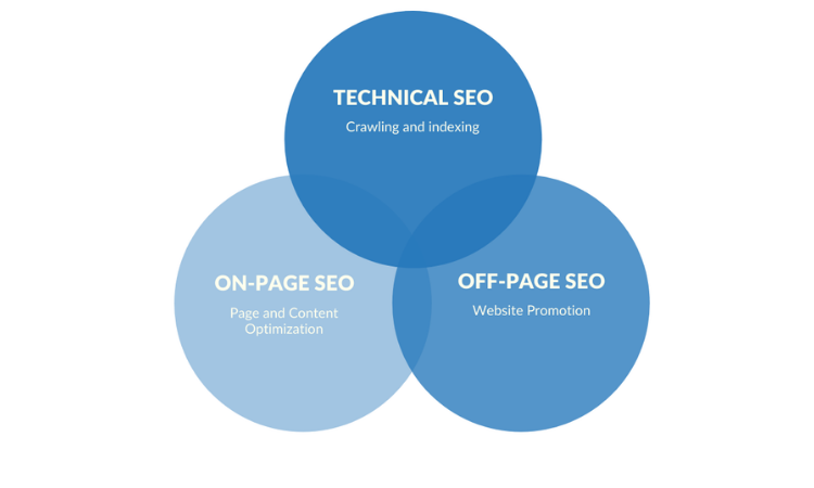 types of SEO