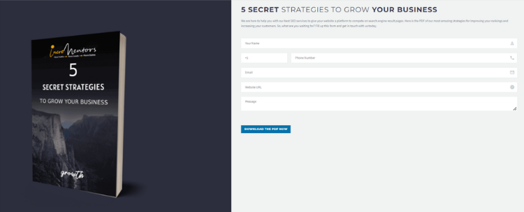 5 secret strategies to grow your business