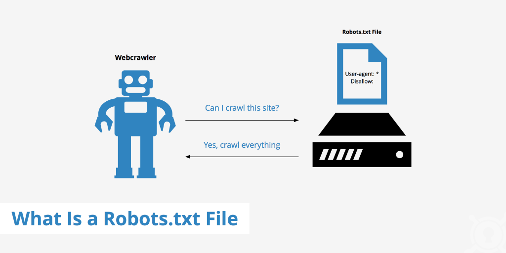 robots txt file on your website