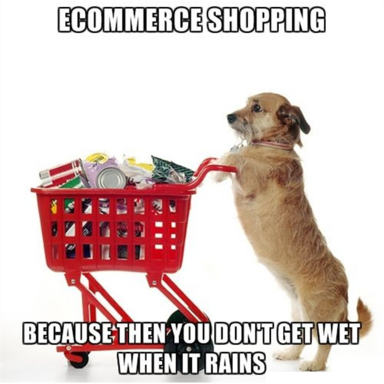 ecommerce shopping