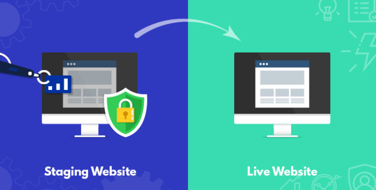 staging website and live website