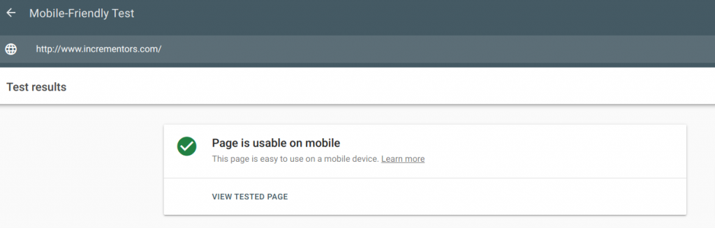 Google’s Mobile-Friendly test- Test Results
