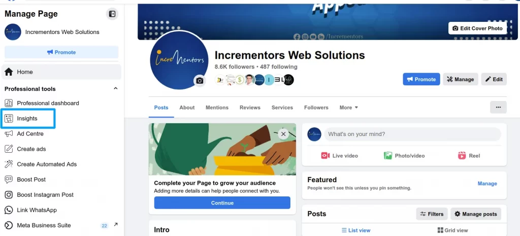 Best Time to Post on Facebook Page- Page Insights