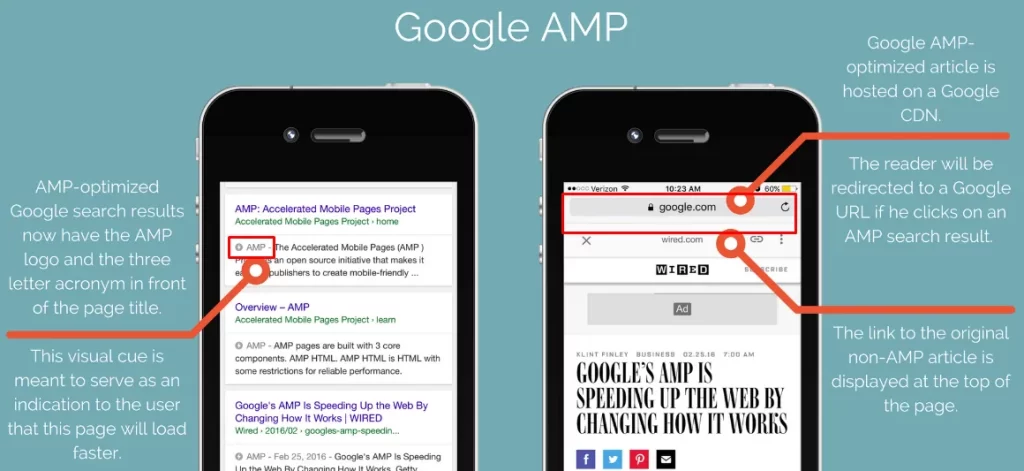 AMP