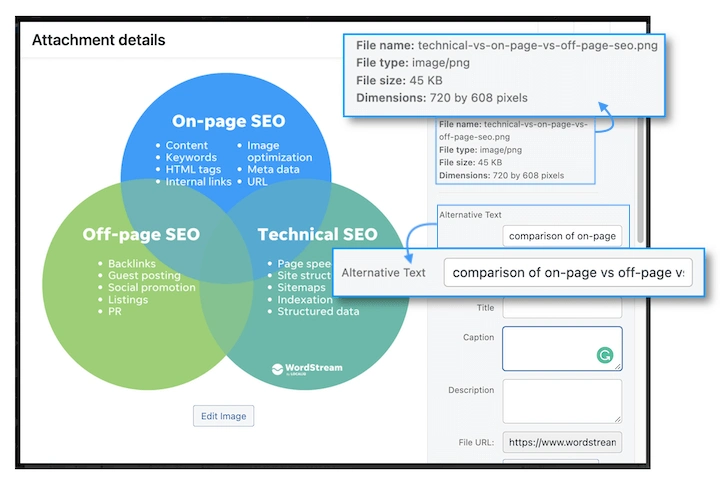 google ranking factors image optimization
