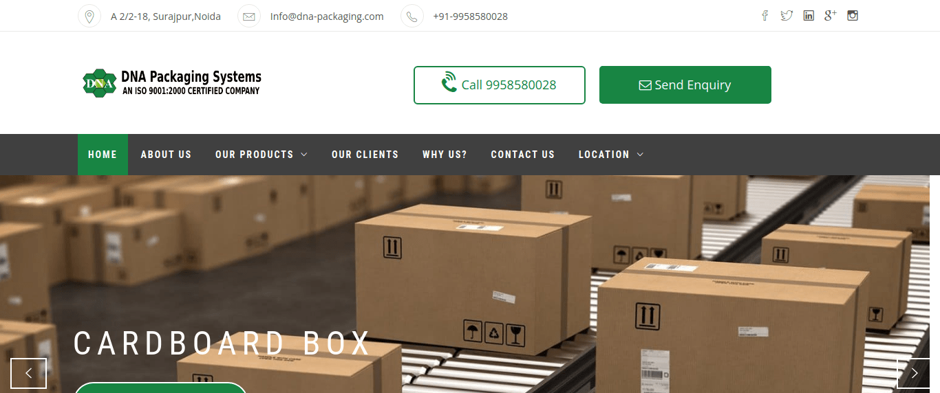 DNA Packaging SEO Case Study