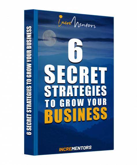 Book Image 2 6 Strategies to grow Your Business