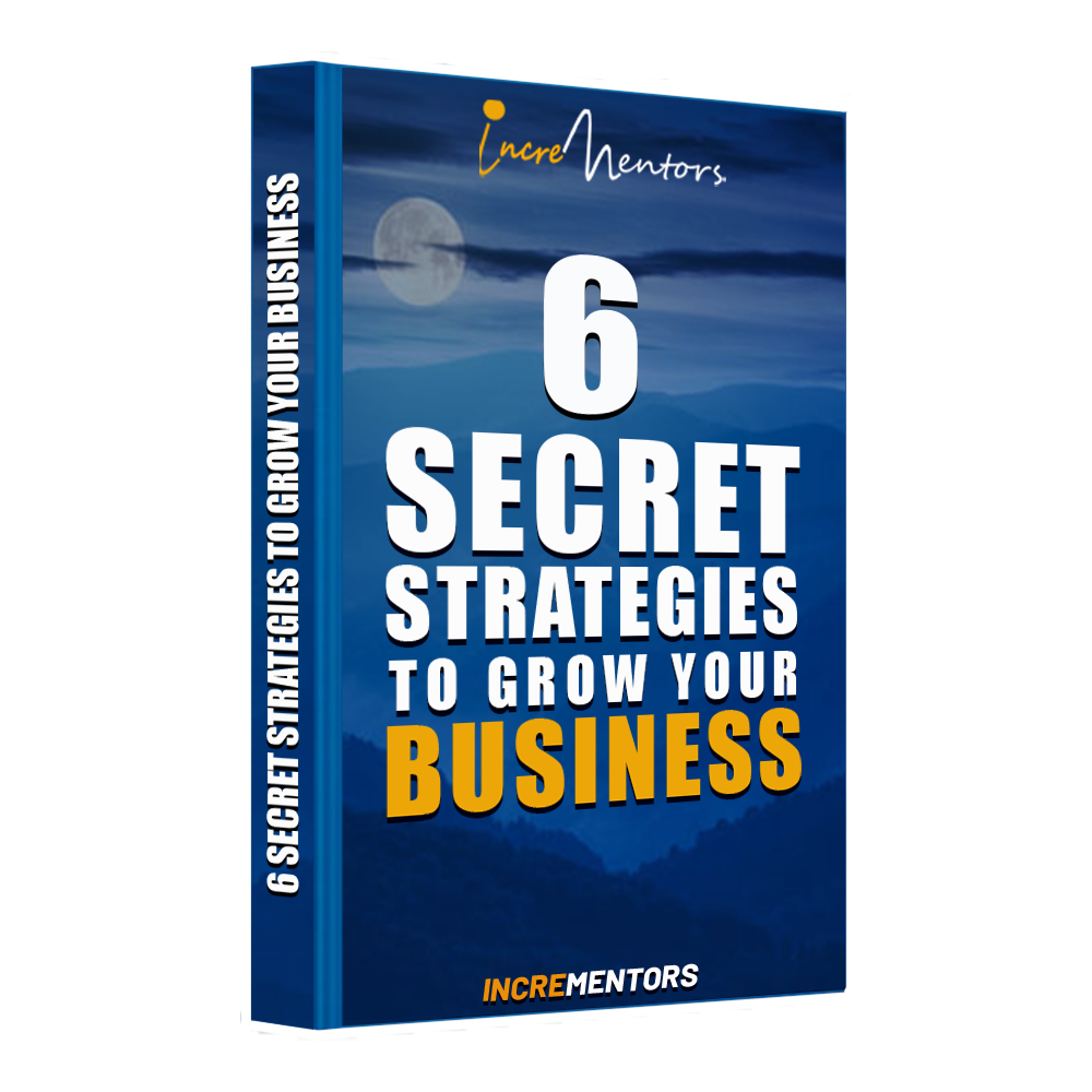 Book Image 2 6 Strategies to grow Your Business